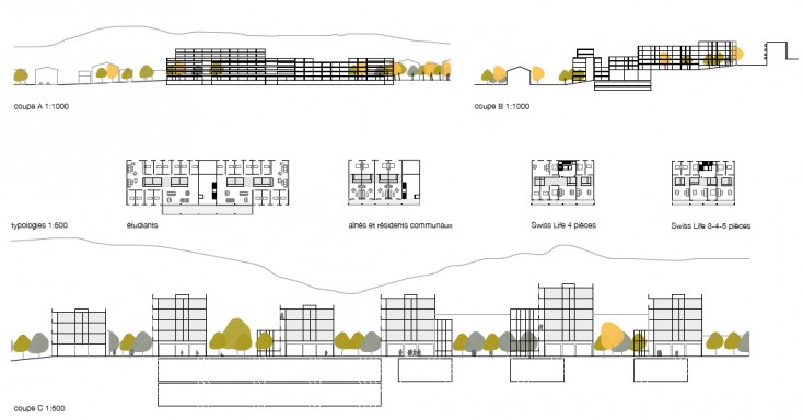 Coupes et typologies d'appartements